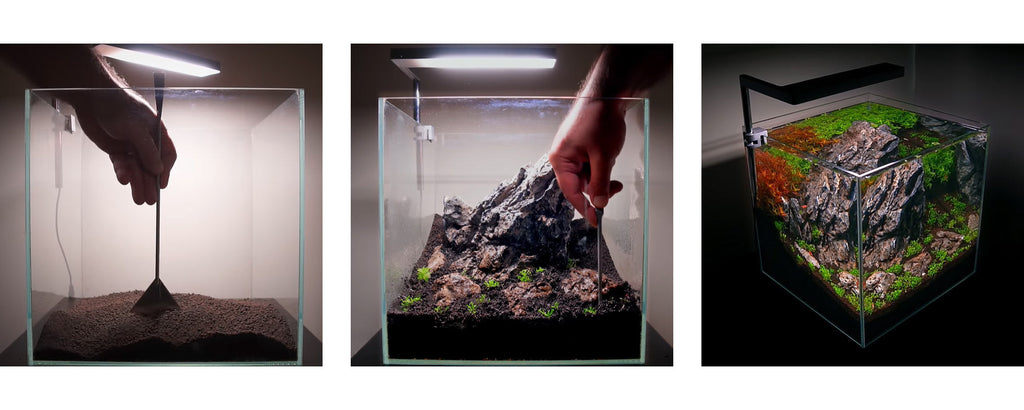Come iniziare correttamente l'acquario d'acqua dolce [la guida]