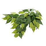 REPTIZOO Foglie di Banyan - 50cm