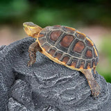 Pharao-Schädel-Versteckhöhle REPTIZOO – 22 cm