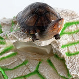 Reptiel Schalie Stap Richel Habitat REPTIZOO - 19 cm