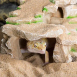 Reptiel Schalie Stap Richel Habitat REPTIZOO - 19 cm