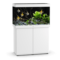 Aquarium Rio 290 LED Blanc Équipé JUWEL - 290L