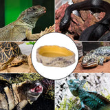 Vasque Water Dish M REPTIZOO - 20,5 cm
