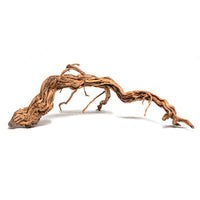 Racine Naturelle Curl Wood AQUADECO - M 60 à 80 cm