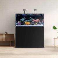 Marine X 3620 Peninsula Schwarzer Wasserbox - Aquarium Marine 224 l