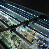 Aquarium Glossy 120 Day & Night Gris Laqué LED AQUAEL - 260L