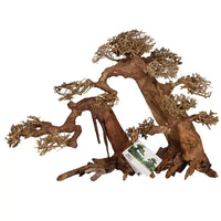 Bois Naturel Arbre Aqua Bonsaï XL++ AQUAVIE - 55 cm