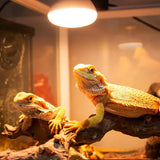 Basking Spot Daglichtlamp REPTIZOO - 150W