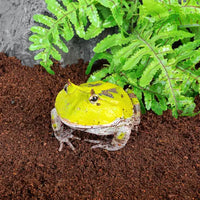 Substrat Coco Brick Compressed REPTIZOO - 10L