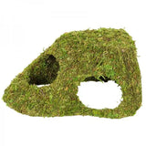 Dôme Mousse Naturelle REPTIZOO - 25,5 cm