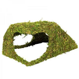 Dôme Mousse Naturelle REPTIZOO - 25,5 cm