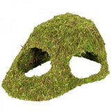 Dôme Mousse Naturelle REPTIZOO - 25,5 cm