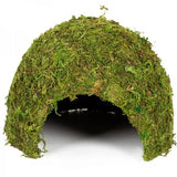 REPTIZOO Natuurlijke Moskoepel - 23 cm