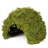 REPTIZOO Cúpula de Musgo Natural - 17 cm