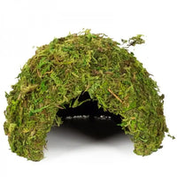 REPTIZOO Cupola in muschio naturale - 17 cm