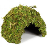 REPTIZOO Cúpula de Musgo Natural - 17 cm