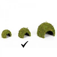 REPTIZOO Cúpula de Musgo Natural - 17 cm