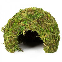 REPTIZOO Cupola in muschio naturale - 11 cm