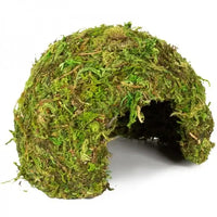 REPTIZOO Natuurlijke Moskoepel - 11 cm