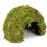 REPTIZOO Natuurlijke Moskoepel - 11 cm