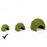 REPTIZOO Natuurlijke Moskoepel - 11 cm