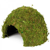 REPTIZOO Cupola in muschio naturale - 23 cm