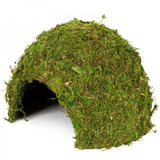 REPTIZOO Natuurlijke Moskoepel - 23 cm