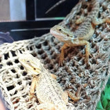 REPTIZOO Driehoek Reptielenhangmat - 37 cm