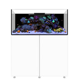 Infinia Reef 150.4 Blanc WATERBOX - Aquarium Récifal 400 L