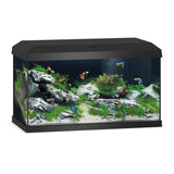 Aquarium Primo 60 LED -uitgeruste juwel - 57l