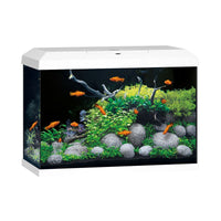 Aquarium Primo 70 witte LED -uitgeruste juwel - 70L