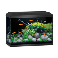 Aquarium Primo 70 zwarte LED -uitgeruste juwel - 70L