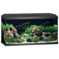 Aquarium Primo 110 LED Noir Équipé JUWEL - 110L