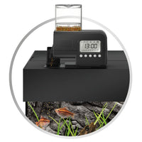 SmartFeed 2.0 JUWEL - Distributeur Automatique de Nourriture