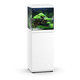 Aquarium Rio 125 LED Brun uitgerust juwel - 125L