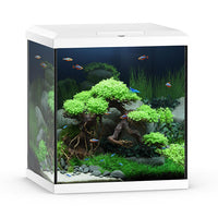 Aquarium Rio 125 LED Brun uitgerust juwel - 125L