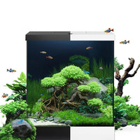 Aquarium Vio Cube 54 Noir Équipé JUWEL - 54L