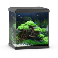 Aquarium Vio Cube 54 Noir Équipé JUWEL - 54L