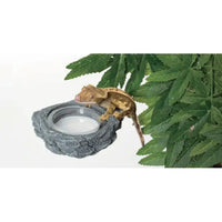 Mangiatoia magnetica per pietre REPTIZOO - 12 cm
