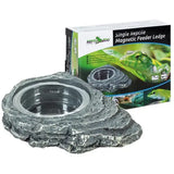 REPTIZOO Steen Magnetische Voeder - 12 cm