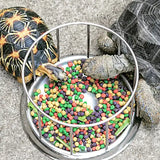 REPTIZOO Futterspender für Schildkröten – 11,5 cm