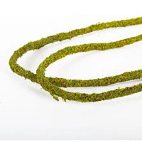 Liane Vine Moss Natural REPTIZOO - 200 x 1,5 cm