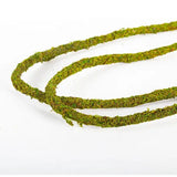 Liane Vine Moss Natural REPTIZOO - 200 x 1,5 cm