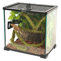 Liane Vine Moss Natural REPTIZOO - 200 x 1,5 cm