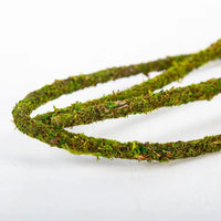 Liane Vine Moss Natural REPTIZOO - 200 x 1 cm
