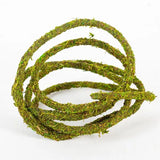 Liane Vine Moss Natural REPTIZOO - 200 x 1 cm