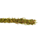Liane Vine Moss Natural REPTIZOO - 200 x 1,5 cm