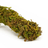 Liane Vine Moss Natural REPTIZOO - 200 x 2 cm