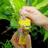 ProNovo Bel Flakes M JBL - Aliment de base en flocons pour poissons d'aquarium de 8 à 20 cm