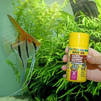 ProNovo Bel Flakes M JBL - Aliment de base en flocons pour poissons d'aquarium de 8 à 20 cm